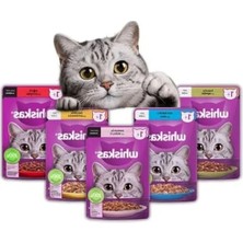 Ulu Pazarlama Mega Paket Kedi Maması, 20 Adet Karışık Çeşit