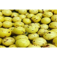 Leblebihane Kahve Çikolatalı Leblebi