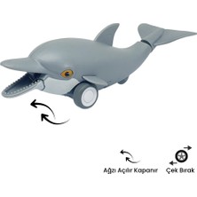 Die Grup Sürtmeli Hayvanlar Serisi - H-53 - Yunus Balığı