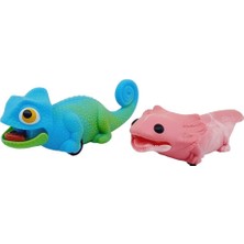 Die Grup Sürtmeli Sürüngen Hayvanlar 2'li - Iguana & Semender