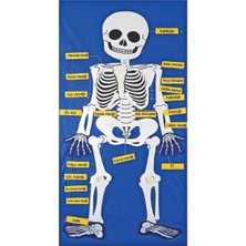 Die Grup AND-9150 Cırtlı Iskelet Pano 5119