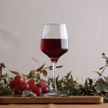 PremiumPort Kırmızı Şarap Kadehi 6'lı 295 Ml, Ayaklı, Şık ve Zarif Tasarım