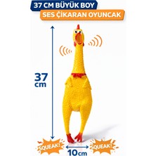 Papağanhane Büyük Boy 37 cm Sesli Öten Horoz Köpek Oyuncağı | Orijinal Kalın Kauçuk | Dayanıklı & Eğlenceli