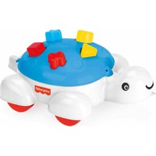 Die Grup 1804 Fısher Prıce Kaplumbağa Bultak