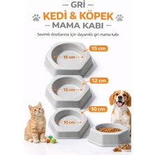 Papağanhane 3’lü Kedi Köpek Mama Kabı Seti Gri Altıgen Tasarım 15-12-10 cm Dayanıklı Mama Su Kabı