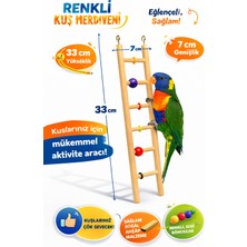 Papağanhane 6 Basamaklı Ahşap Kuş Merdiveni – Renkli Boncuklu Papağan Oyun ve Tırmanma Oyuncağı