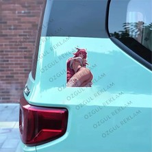 Özgül Reklam Kadın Sticker / Anime Kız Sticker / Araç Sticker / Motor Sticker / Laptop Sticker