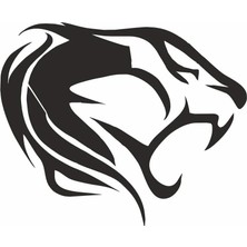 Özgül Reklam Aslann Sticker Araç Etiket Araba