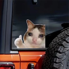 Özgül Reklam Üzgün Kedi Çıkartma Viral Kedi Sticker Araba Sticker / Motor Sticker / Laptop Sticker