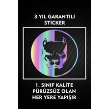 Özgül Reklam Kangal Sticker 15X15 cm / Etiket / Araç Sticker / Araba Sticker