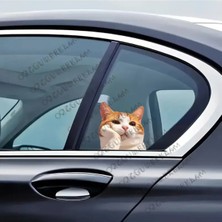 Özgül Reklam Camdan Bakan Komik Kedi Sticker / Araç Sticker / Motor Sticker