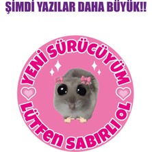 Özgül Reklam Acemi Sürücü Yeni Sürücü 16X16 cm Su Geçirmez Yüksek Çözünürlüklü Sticker Araba Motor Sticker