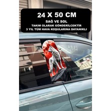 Özgül Reklam Kurt Araç Kapı Direği Kaplama Folyosu 50X25 cm 2 Adet / Araç Kapı Direk Kaplama
