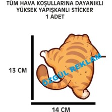 Özgül Reklam Tırmanan Kedi Sticker 1 Adet 14X13 cm Su Geçirmez Yüksek Çözünürlüklü Araba Motor Kask Sticker