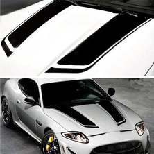 Özgül Reklam Oto Araba Kaput Sticker Çıkartma - Mz