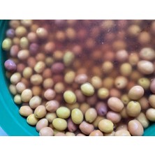 Altın Gıda 45 1 kg Yeşil Çizme Zeytin (Edremit)