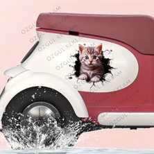 Özgül Reklam 3D Kedi Sticker / Araç Sticker / Motor Sticker / Suya Dayanıklı