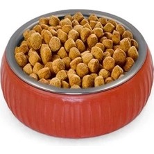 Esplendor Mikopet Organik Seramik Mama Kabı Kiremit