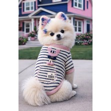 Puppy Party Köpek Kıyafeti