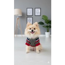 Puppy Party Köpek ve Kedi Kıyafetleri