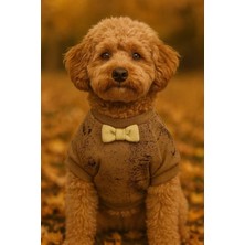 Puppy Party Köpek Kıyafeti