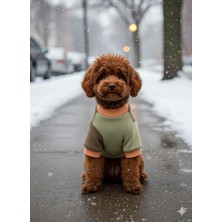 Puppy Party Köpek Kıyafeti