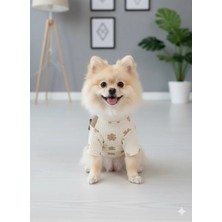 Puppy Party Köpek Kıyafetler