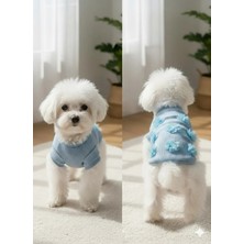 Puppy Party Köpek Kıyafeti