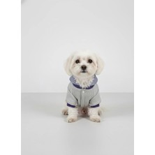 Puppy Party Köpek Kıyafetleri