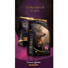 Mama Evim  Professional Paws Premium Hipoalerjenik Somonlu Yetişkin Köpek Maması (15KG)
