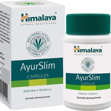Himalaya Welness Ayur Slim Fat Burner Appetite Control Weight Loss 60 Tablet