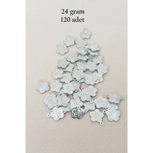 Royaleks Group Oya Abiye Bileklik Kolye Pleksi Metalik Plastik Pul Gümüş Renk 24 Gram 120 Adet - BNC584