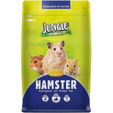 Jungle Hamster Yemi