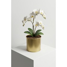 Desen Dekorasyon Orkide Saksısı Metal 1.6 Litre - Silindir Dekoratif Mini Saksılık ve Çiçeklik