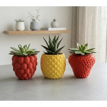 Print Zone 3'lü Meyve Tasarımlı Dekoratif Mini Saksı Seti - Ikea Fejka 6 cm Uyumlu