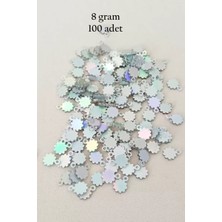 Royaleks Group Oya Abiye Bileklik Kolye Pleksi Metalik Plastik Pul Gümüş Renk 8 Gram 100 Adet - BNC518