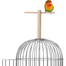 Ulu Pazarlama Ağaç Sopalı Kuş Tüneği, 18 cm Boyunda