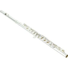 Ulu Pazarlama Profesyonel Yan Flüt (Model YFL212)