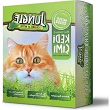 Ulu Pazarlama Özel Gübreli Kedi Çimi - 14X14 cm Fileli