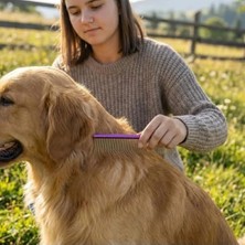 Ulu Pazarlama Profesyonel Metal Kedi ve Köpek Tüy Bakım Tarağı - 19 cm