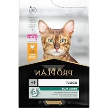 Ulu Pazarlama Yetişkin Kuru Kedi Maması, Tavuklu, 3 kg