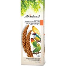 Ulu Pazarlama Platin Kırmızı Dal Darı, Yeni Hasat