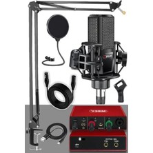 Ulu Pazarlama Yüksek Kaliteli Ses Kartı ve Condenser Mikrofon Seti - Stand ve Filtre