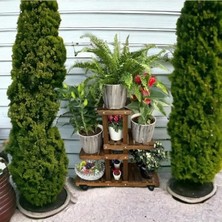 Ulu Pazarlama 4 Katlı Ahşap Bitki Standı, Kilitlenebilir Tekerlekler ile