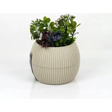 Royaleks Group Mercan Saksı 11.5X12 cm 0.70 Lt