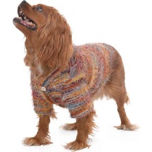 Petza Köpek Kazak Boho