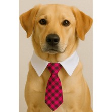 Zurafa Shop Fuşya ve Beyaz Renk Kravat Kedi Köpek Tasması