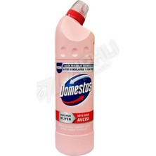 4 Adet Domestos Kötü Koku Avcısı 750 ml