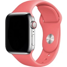 E2M Classic Silikon Apple Watch Kordon 42-44-45-49MM Yavruağzı