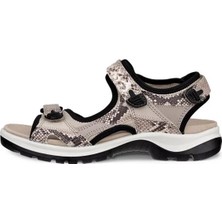 Ecco Offroad